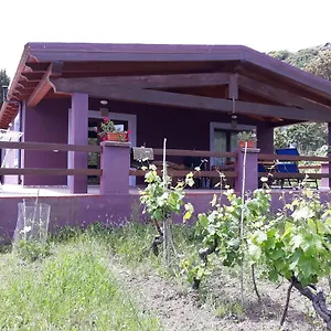 https://villa-veronica-sedini.in-sardinia.net